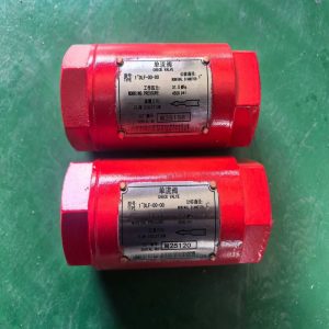 CHECK VALVE-1"DLF-00-00