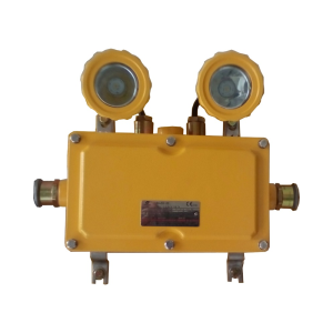 BAJ52-20 Взрывозащищённый Emergency Лёгкий Fittings