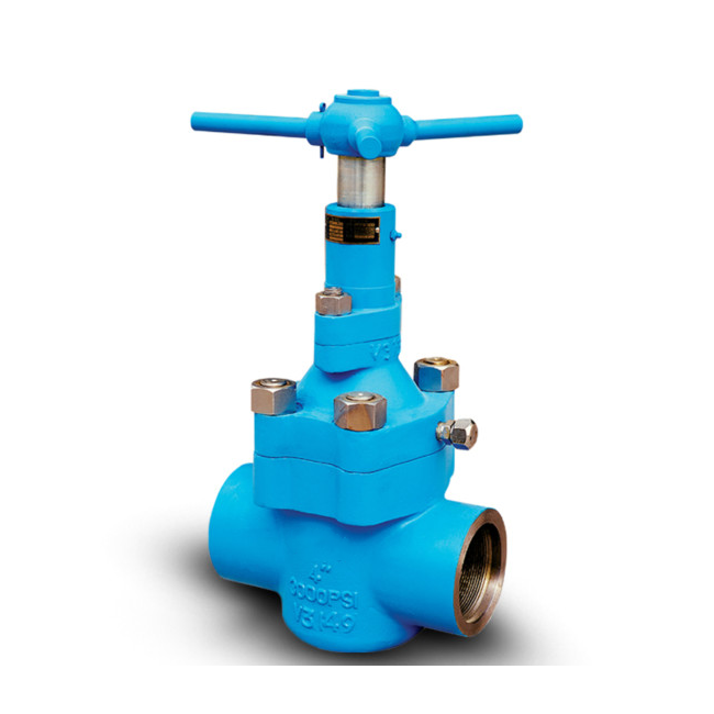 Hot Sale API 6AHydraulic Mud Задвижка